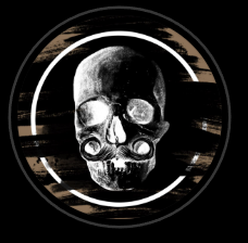My wired mind logo